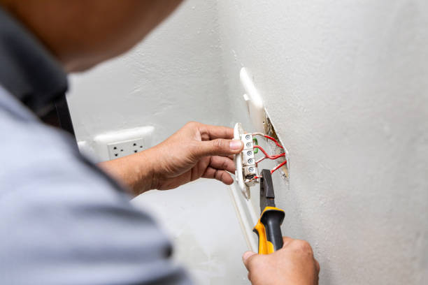 Best Electric Panel Repair  in Seminole, TX